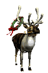 Rudolph