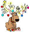 Kerstlampen
